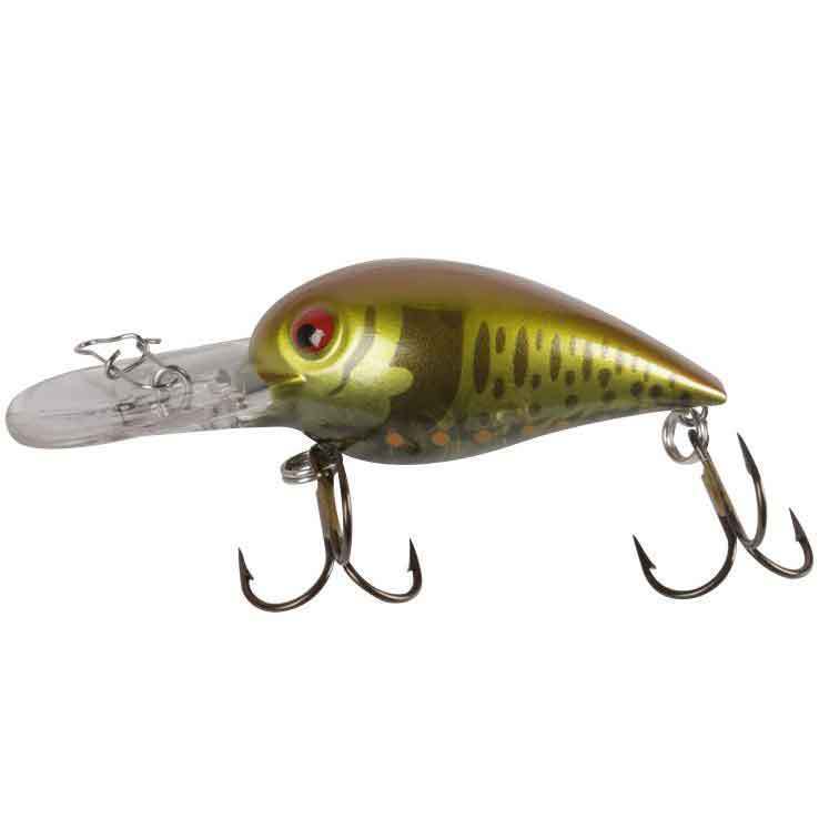 Storm Wiggle Wart Storm Wiggle Wart
