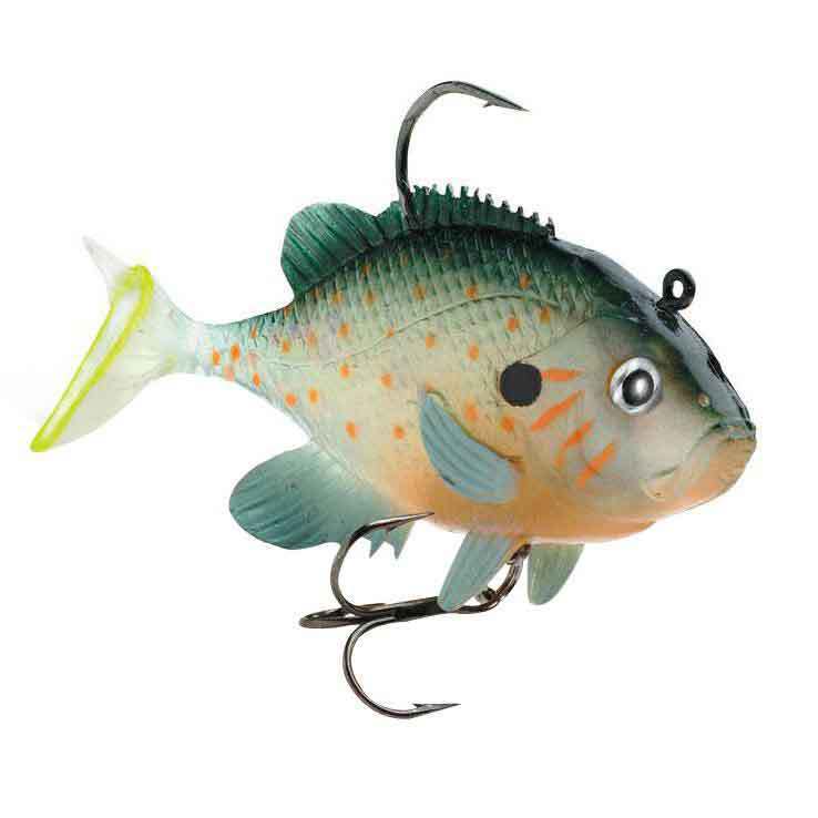 Storm Wild Eye Live Sunfish Storm Wild Eye Live Sunfish