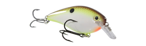 Strike King KVD 1.5 Square Bill