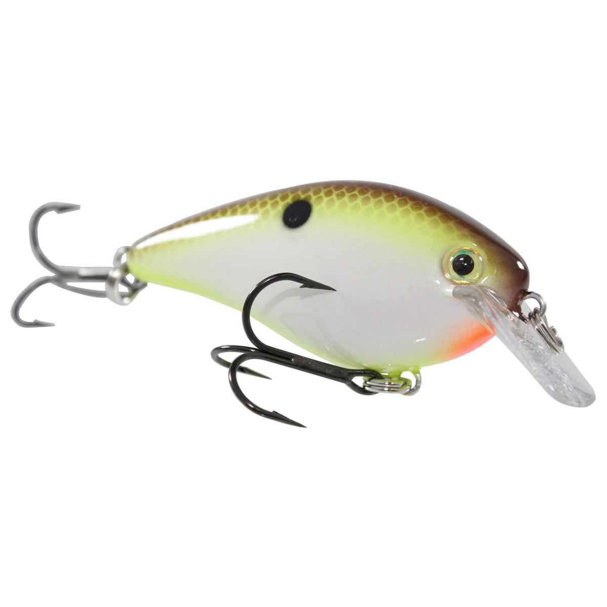 Strike King KVD 1.5 Square Bill Crankbait Strike King KVD 1.5 Square Bill Crankbait