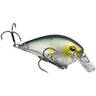 Strike King KVD Square Bill Silent 1.0 Crankbait - Clearwater Minnow, 3/8oz, 2-1/4in, 3-6ft - Clearwater Minnow
