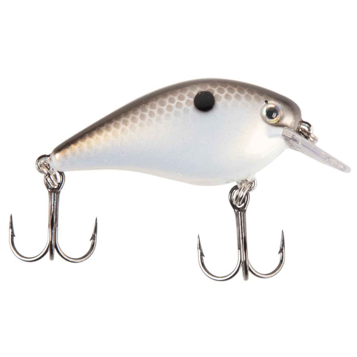 Strike King KVD Square Bill Silent 1.0 Shallow Diving Crankbait Strike King KVD Square Bill Silent 1.0 Shallow Diving Crankbait
