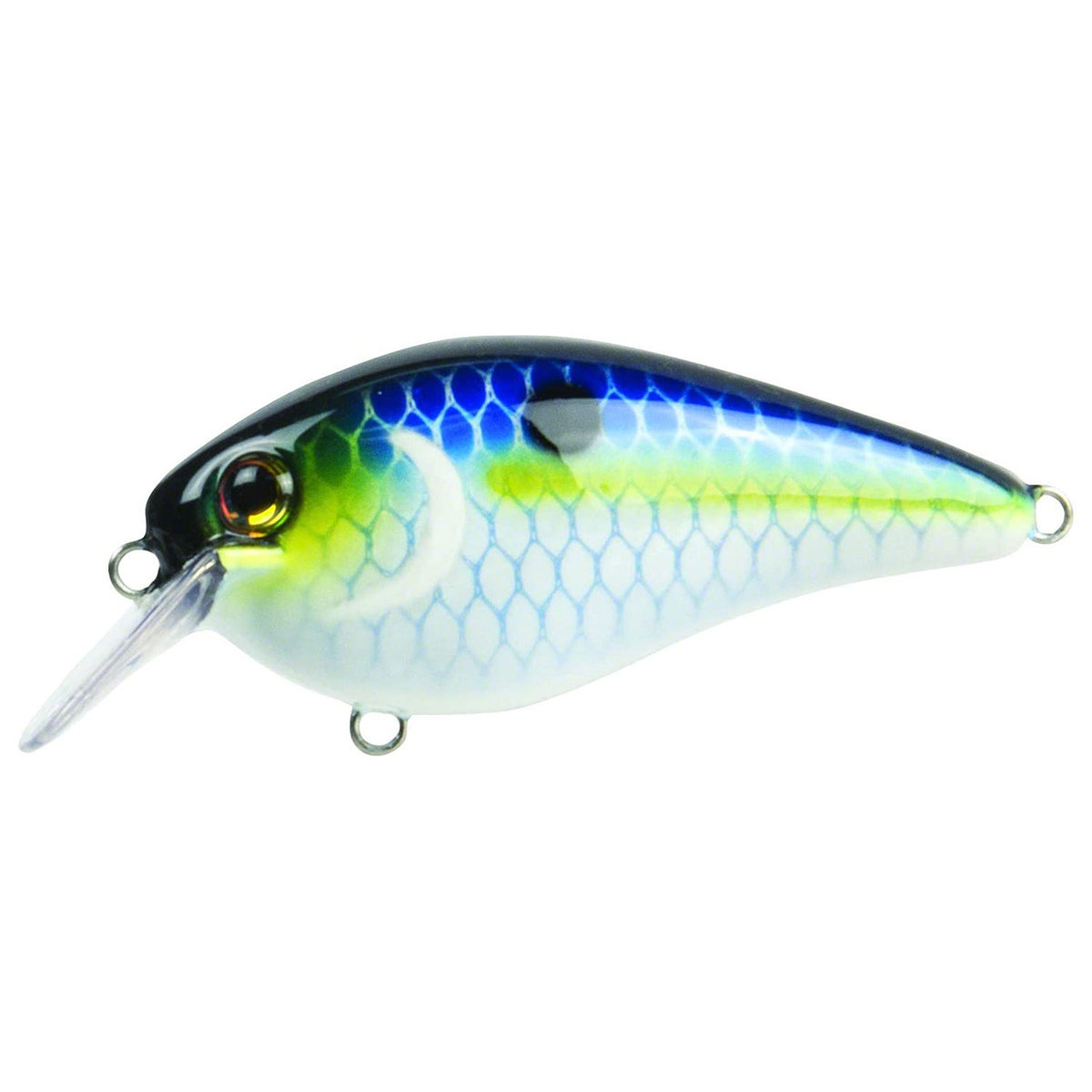 Strike King KVD 1.5 Square Bill Crankbait Strike King KVD 1.5 Square Bill Crankbait