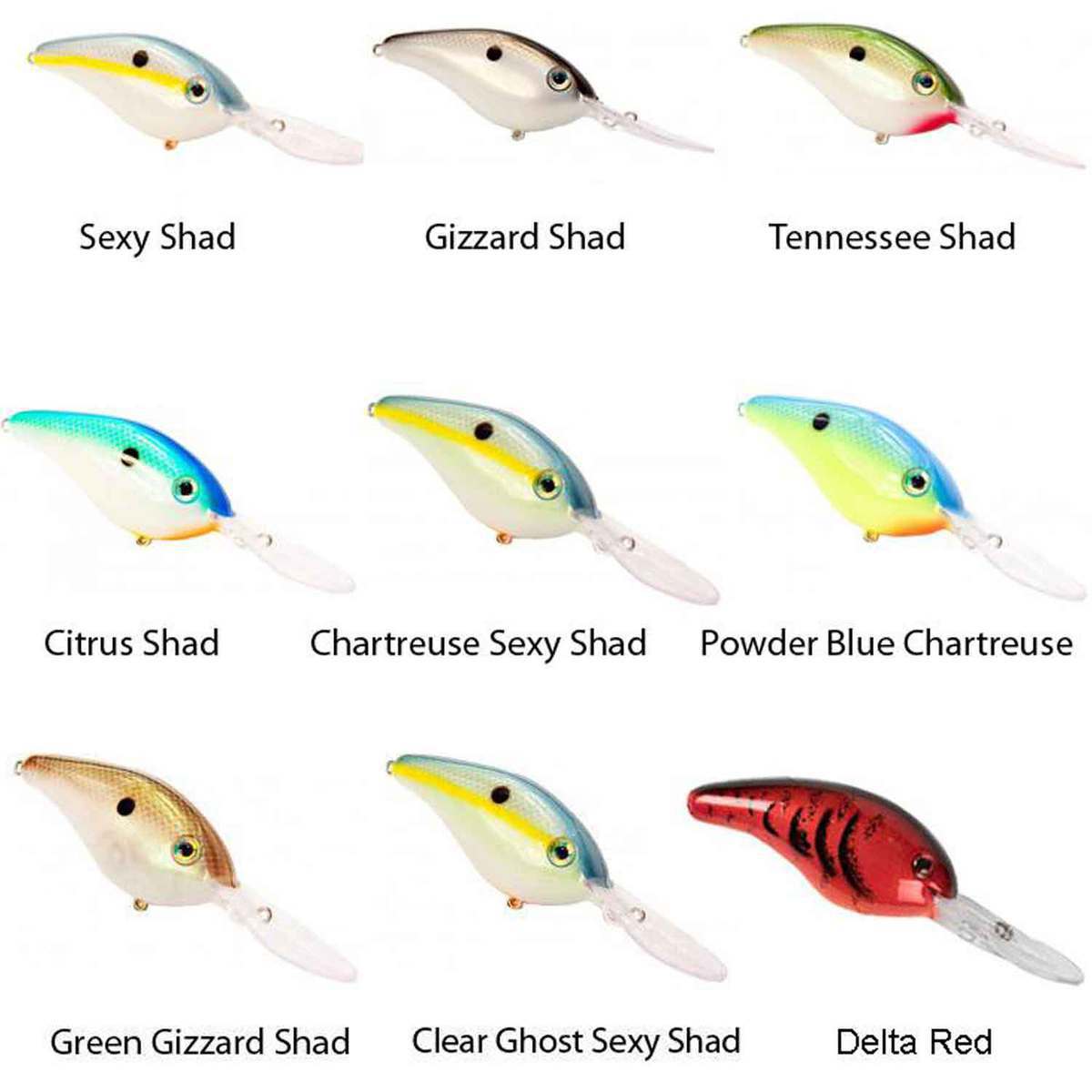 Strike King Pro-Model 5XD Round Bill Crankbait Strike King Pro-Model 5XD Round Bill Crankbait