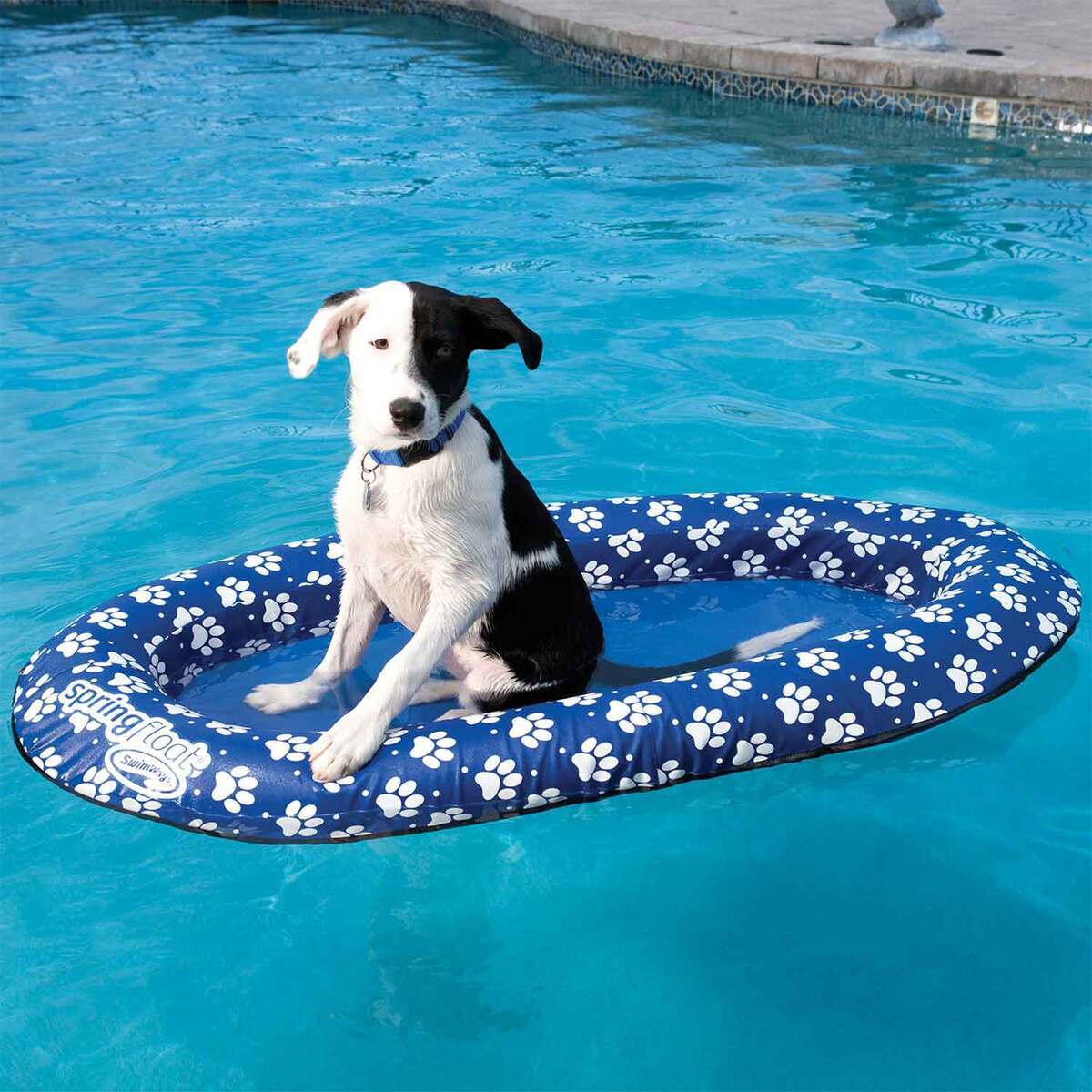 SwimWays Spring Float Paddle Paws Pool Float - Blue SwimWays Spring Float Paddle Paws Pool Float - Blue