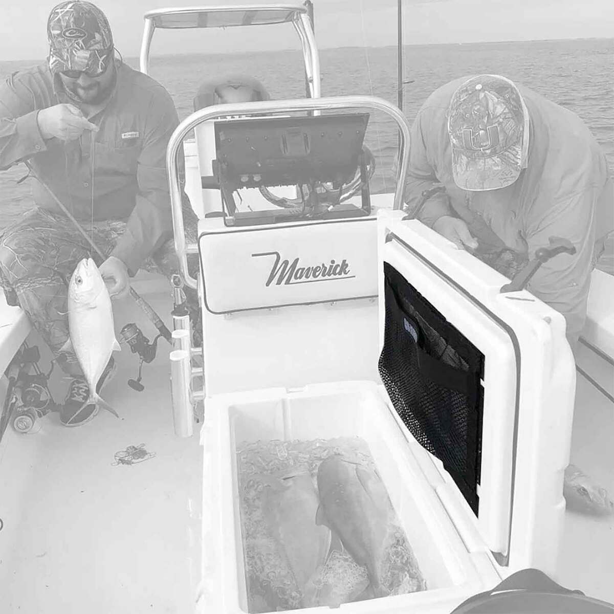 TackleWebs Cooler Webs Large TackleWebs Cooler Webs Large