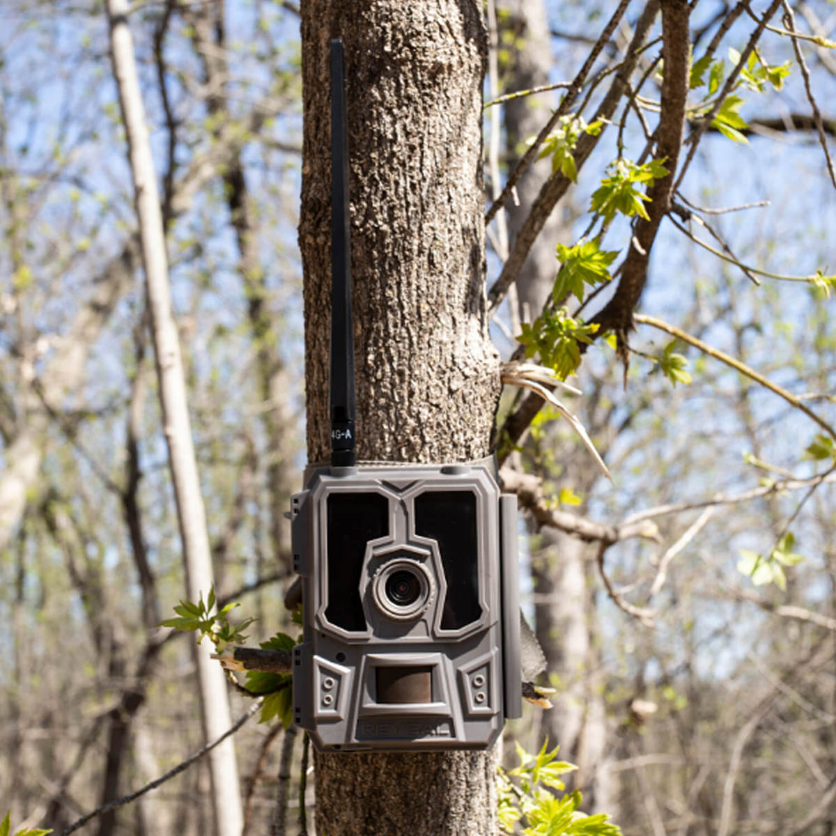Tactacam Reveal Cellular Trail Camera AT&T Brown Sportsman's