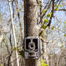 Tactacam Reveal Cellular Trail Camera - AT&T - Brown