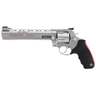 Raging Bull 454 Casull view 2