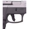 Taurus G2C 9mm Luger 3.25in Stainless Pistol - 12+1 Rounds - Gray