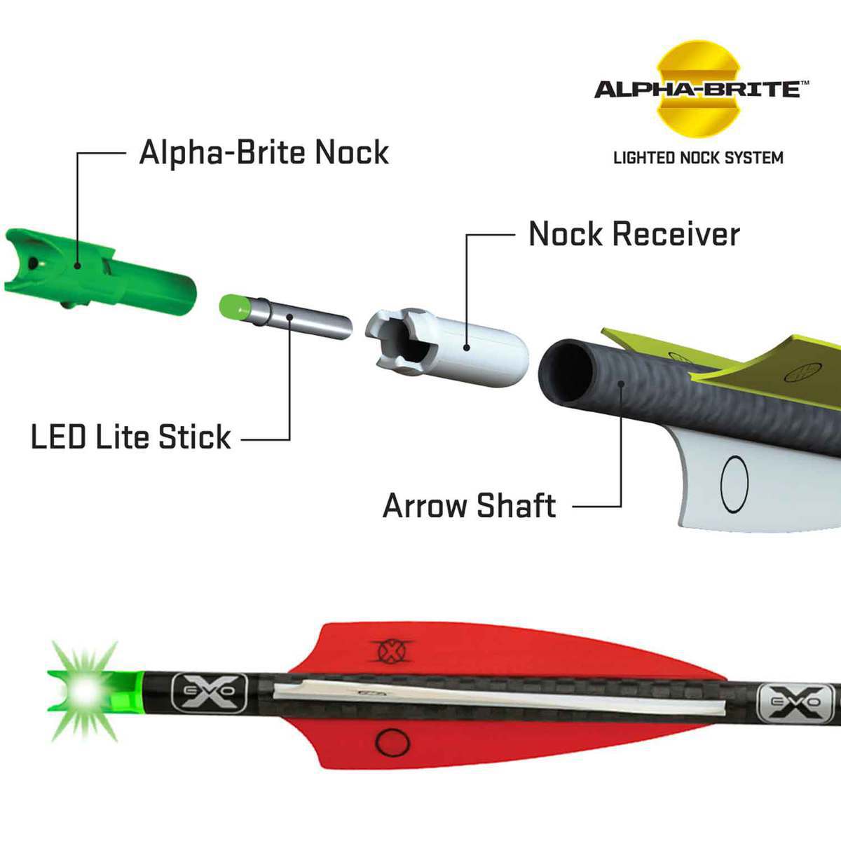TenPoint Evo-X Lighted CenterPunch 16in Premium Carbon Crossbow Bolt - 3 Pack - Black TenPoint Evo-X Lighted CenterPunch 16in Premium Carbon Crossbow Bolt - 3 Pack - Black