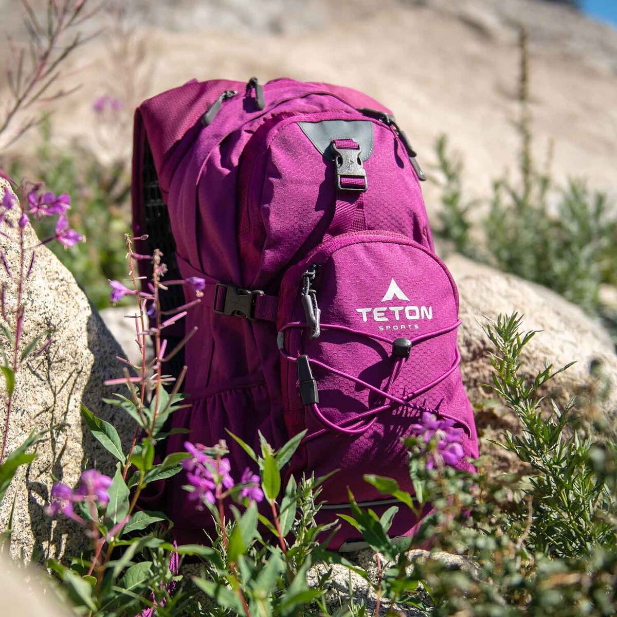 Teton Oasis 18 Liter Hydration Backpack Teton Oasis 18 Liter Hydration Backpack