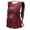 TETON Sports Oasis 22 Liter Hydration Backpack