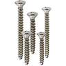 T H Marine Oval Head Tapping Screw Kit - Stainless Steel