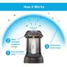 Thermacell Patio Shield Mosquito Repellent Lantern - Black