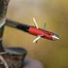 Thorn The Crown of Thorns 125gr Fixed Broadhead - 3 Pack