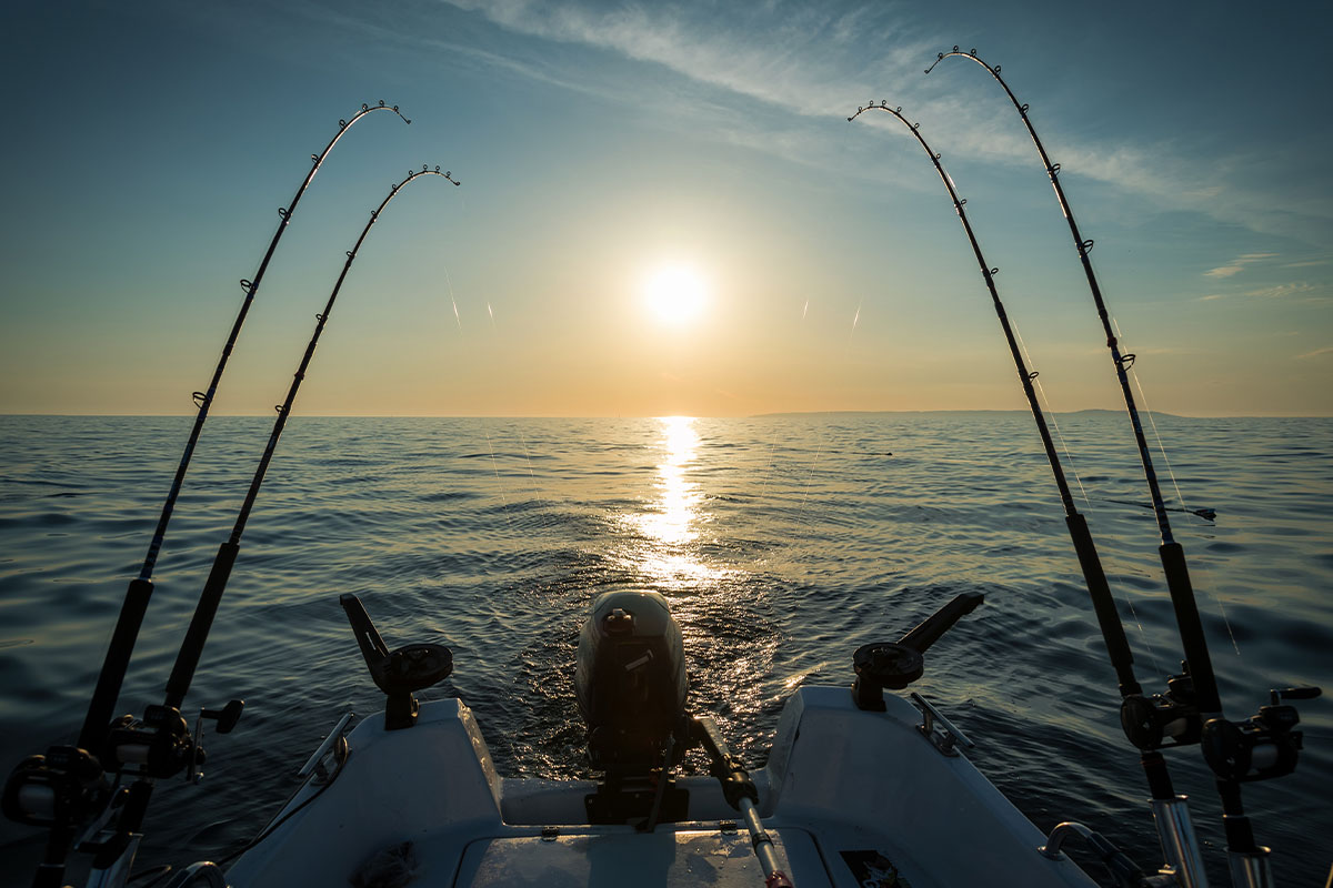 Morning trolling fishing on the lake