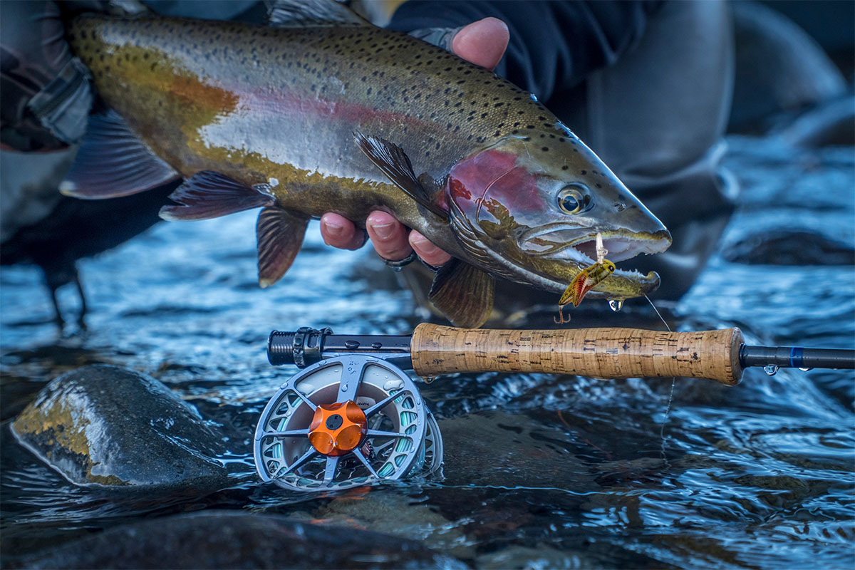 Trout caught with a crankbait