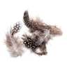 Troutsmen Guinea Body Feathers - Natural
