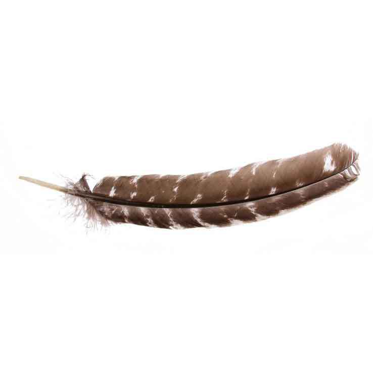 Troutsmen Natural Turkey Wng Quill Dark Bars Troutsmen Natural Turkey Wng Quill Dark Bars