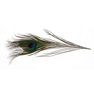 Troutsmen Peacock Eyes 12-14' 2/PKG