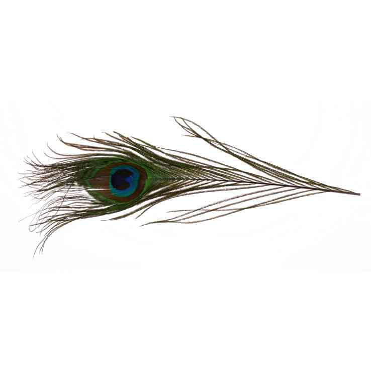 Troutsmen Peacock Eyes 12-14' 2/PKG - Natural Troutsmen Peacock Eyes 12-14' 2/PKG - Natural