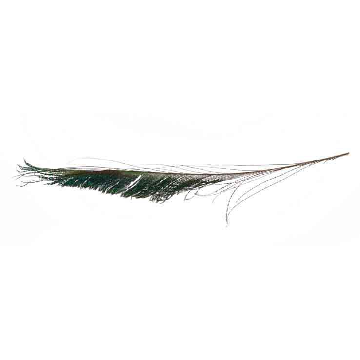 Troutsmen Peacock Swords - Natural Troutsmen Peacock Swords - Natural