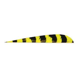 Trueflight Parabolic 4in Barred Yellow Feathers - 100 Pack