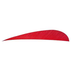 Trueflight Parabolic 4in Red Feathers - 100 Pack