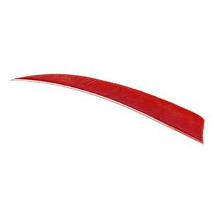 Trueflight Shield Cut 4in Red Feathers - 100 Pack