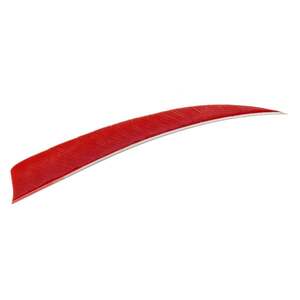 Trueflight Shield Cut 5in Red Feathers - 100 Pack