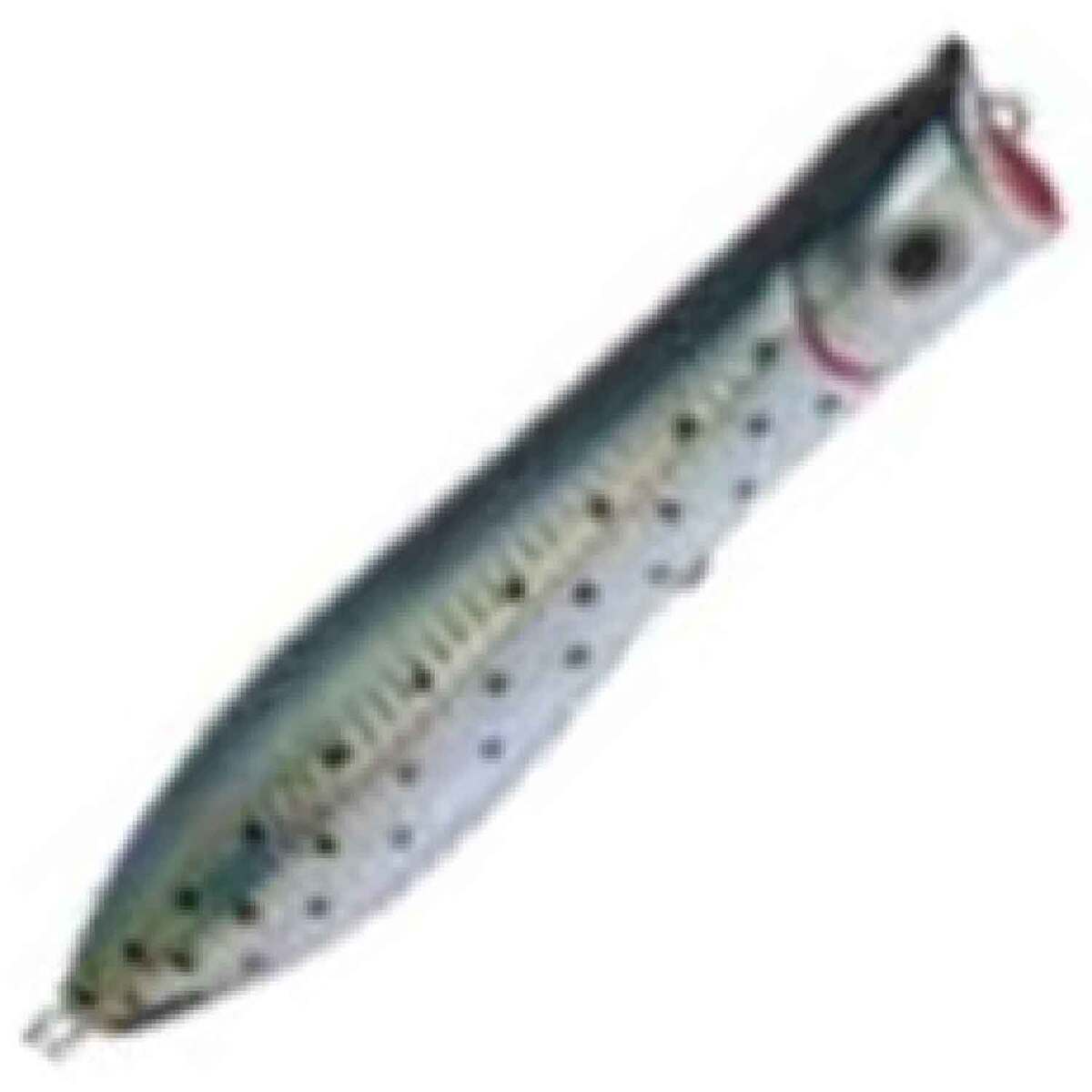 Tsunami Talkin' Pencil Popper 6" Surf Fishing Lure – GT Striper Smokey Joe Color
