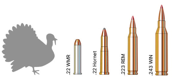 Turkey hunting calibers