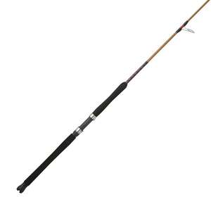 UGLY TIGER E JIG 50-100 6FT6 S