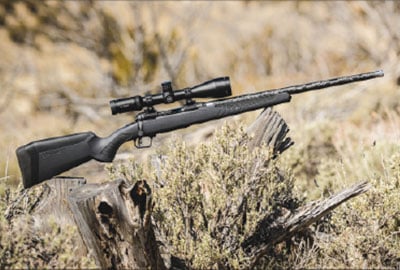 varmint predator rifle