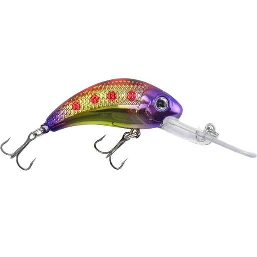 Walleye Nation Creations Boogie Shad Crankbait - Tropical Sunset 5