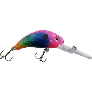 Walleye Nation Creations Boogie Shad Crankbait - Candy Crush, 1/4oz, 2-1/4in, 11-14ft