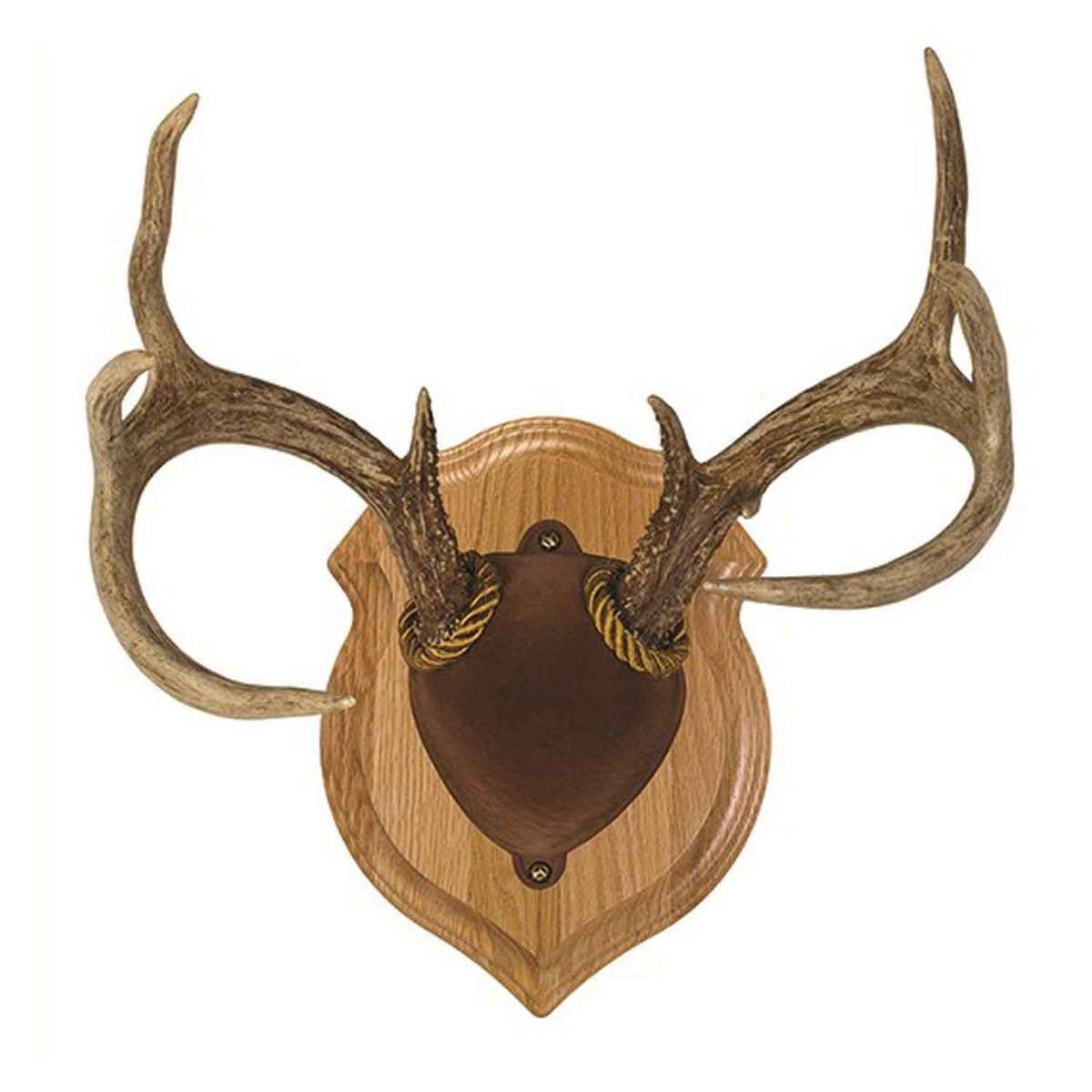 Walnut Hollow Deluxe Antler Display Kit - Oak - Oak Walnut Hollow Deluxe Antler Display Kit - Oak - Oak
