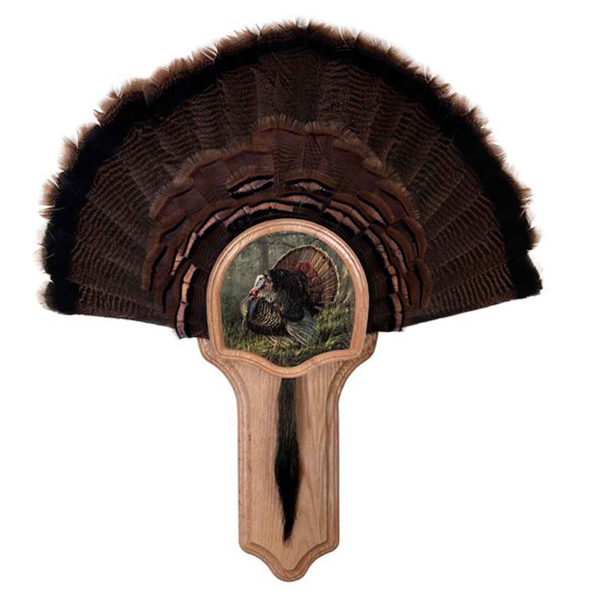 Walnut Hollow Turkey Mount Kit - King Of Spring - Oak Walnut Hollow Turkey Mount Kit - King Of Spring - Oak
