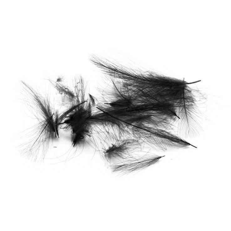 Wapsi CDC Feathers Wapsi CDC Feathers