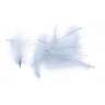 Wapsi Cdc Feathers - Light Dun