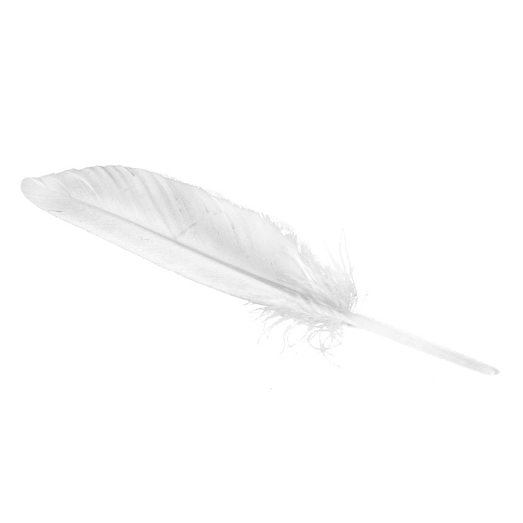 Wapsi Duck Quill - White Wapsi Duck Quill - White