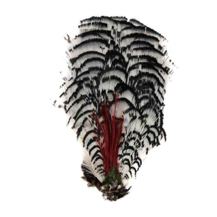Wapsi Lady Amherst Pheasant Complete Necks - Natural Wapsi Lady Amherst Pheasant Complete Necks - Natural