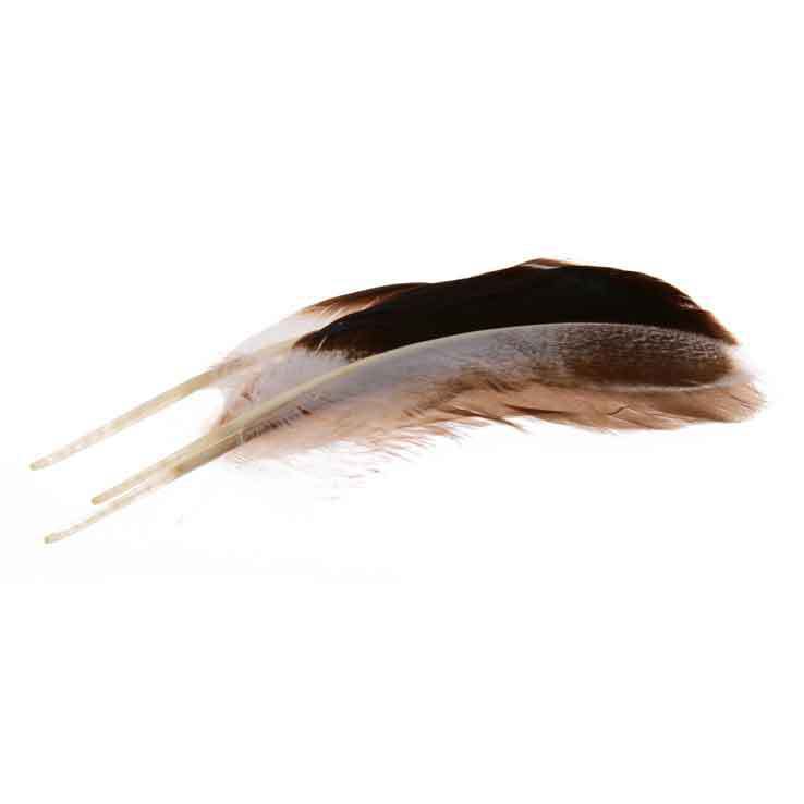 Wapsi Mallard Mcginty Quill - Gray Wapsi Mallard Mcginty Quill - Gray