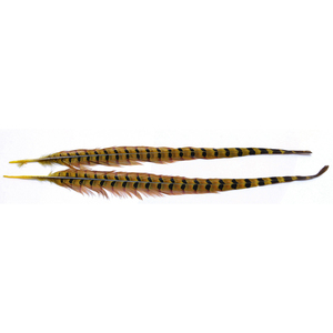 Wapsi Ringneck Pheasant Tail Feather - Golden Yellow, 1 pair