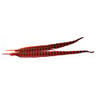 Wapsi Ringneck Pheasant Tail Feather - Orange, 1 pair - Orange