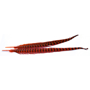 Wapsi Ringneck Pheasant Tail Feather - Orange, 1 pair