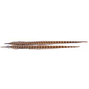 Wapsi Ringneck Pheasant Tail Feather - Bleached Ginger, 1 pair
