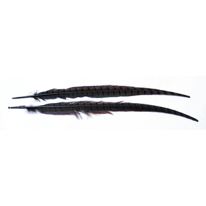 Wapsi Ringneck Pheasant Tail Feather - Dun, 1 pair