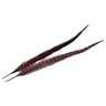 Wapsi Ringneck Pheasant Tail Feather - Chocolate Brown, 1 pair - Chocolate Brown